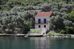 Apartments by the sea Prozurska Luka, Mljet - 619